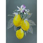 Torchon de cuisine 47 x 67 cm motif "Lemon" coloris Gris